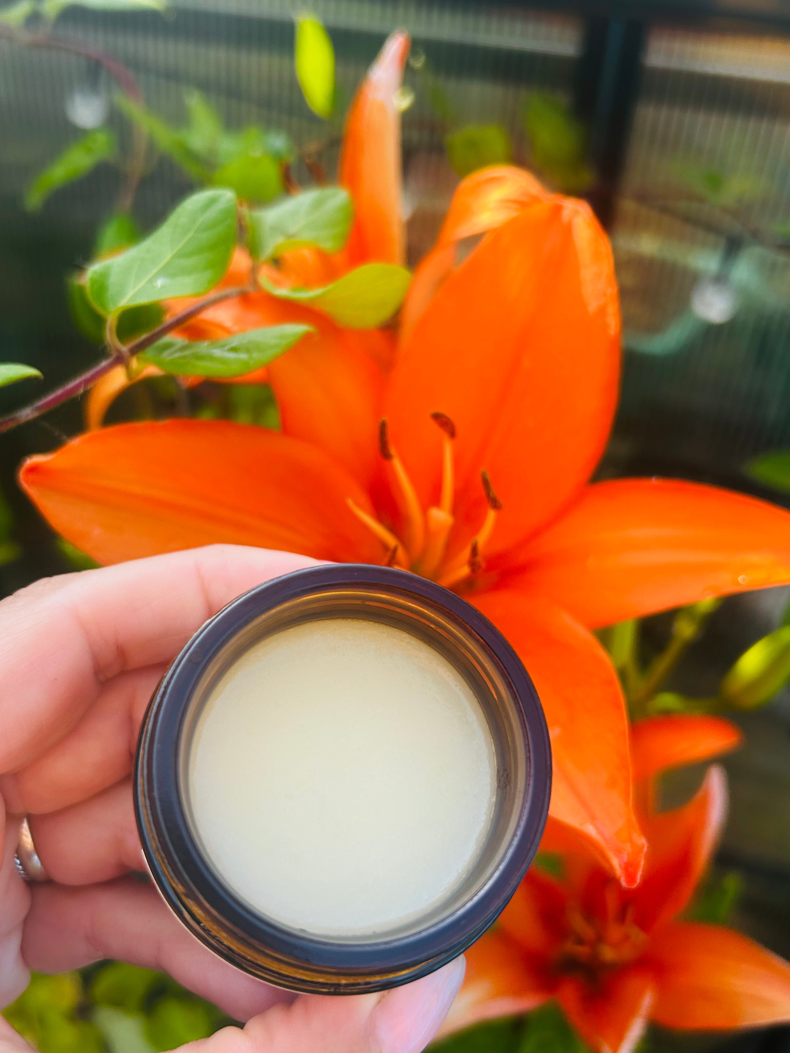 Face and Body Balm- Tallow & Jojoba 50g