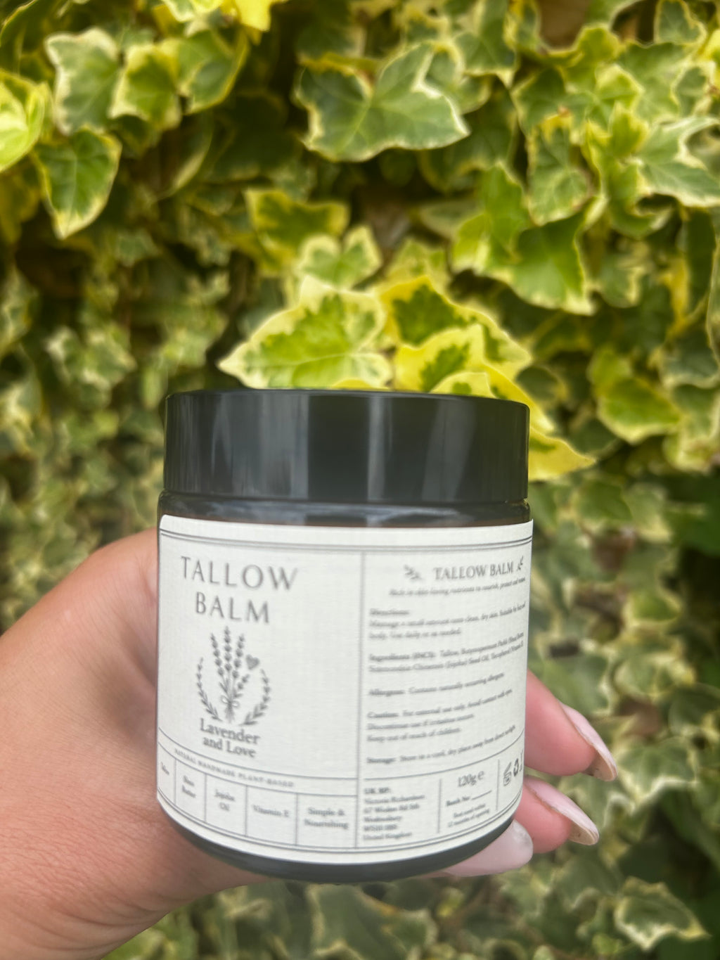 Face and body balm - Tallow and Jojoba  120g large