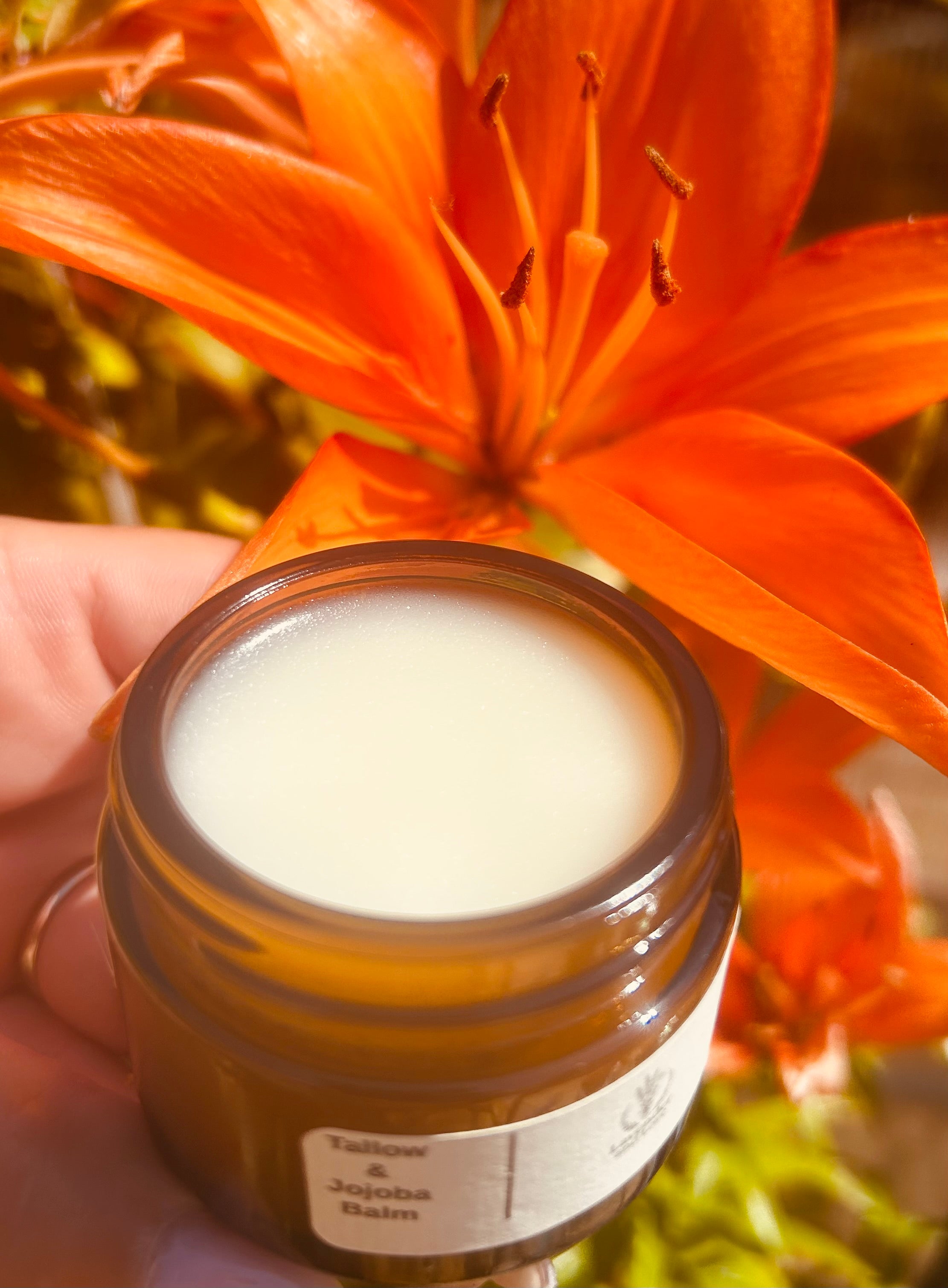 Face and Body Balm- Tallow & Jojoba 50g